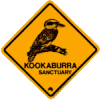 kookaburra