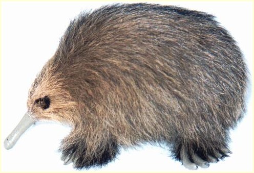 echidna figures