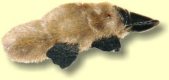 platypus toy